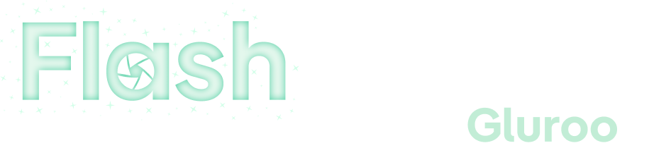 Wordmark_light-version_Horizontal_Flashsnack (3)